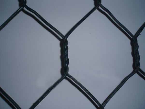 五擰石籠網 - 安平縣全昊金屬(shǔ)絲(sī)網制品有限公司圖片4